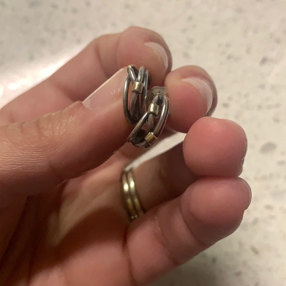 Beautiful Pandora Earrings